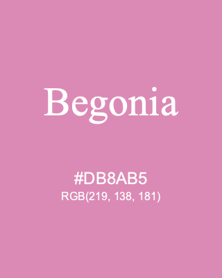 Begonia, hex code is #DB8AB5, and value of RGB is (219, 138, 181). 358 Copic colors. Download palettes, patterns and gradients colors of Begonia.