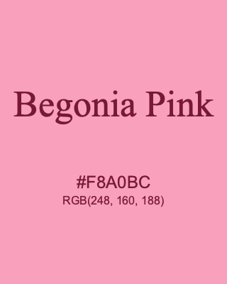 Begonia Pink, hex code is #F8A0BC, and value of RGB is (248, 160, 188). 358 Copic colors. Download palettes, patterns and gradients colors of Begonia Pink.
