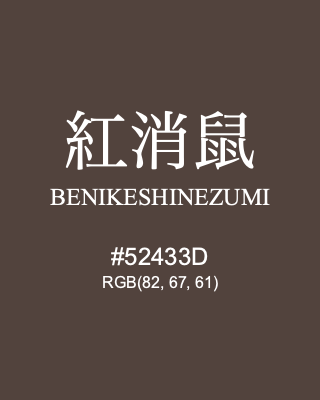 紅消鼠 BENIKESHINEZUMI, hex code is #52433D, and value of RGB is (82, 67, 61). Traditional colors of Japan. Download palettes, patterns and gradients colors of BENIKESHINEZUMI.