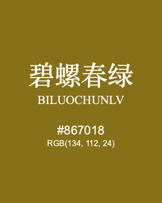 碧螺春绿 biluochunlv, hex code is #867018, and value of RGB is (134, 112, 24). Traditional colors of China. Download palettes, patterns and gradients colors of biluochunlv.