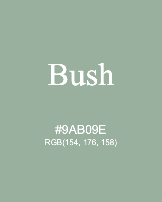 Bush, hex code is #9AB09E, and value of RGB is (154, 176, 158). 358 Copic colors. Download palettes, patterns and gradients colors of Bush.