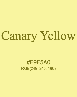 Canary Yellow, hex code is #F9F5A0, and value of RGB is (249, 245, 160). 358 Copic colors. Download palettes, patterns and gradients colors of Canary Yellow.