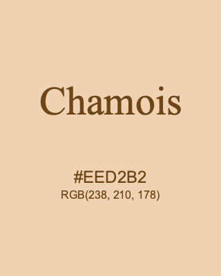 Chamois, hex code is #EED2B2, and value of RGB is (238, 210, 178). 358 Copic colors. Download palettes, patterns and gradients colors of Chamois.