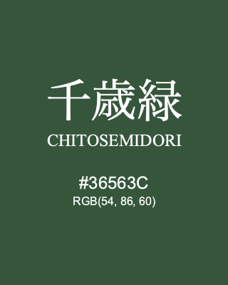 千歳緑 CHITOSEMIDORI, hex code is #36563C, and value of RGB is (54, 86, 60). Traditional colors of Japan. Download palettes, patterns and gradients colors of CHITOSEMIDORI.
