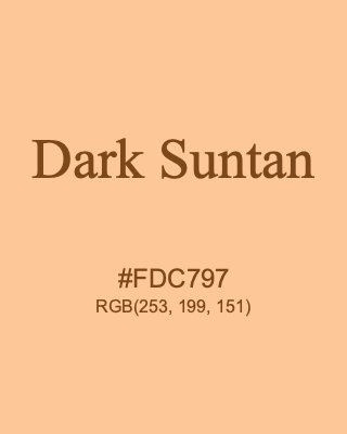 Dark Suntan, hex code is #FDC797, and value of RGB is (253, 199, 151). 358 Copic colors. Download palettes, patterns and gradients colors of Dark Suntan.