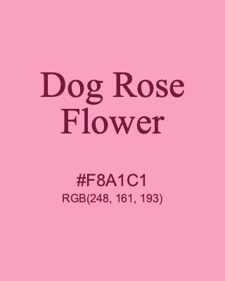 Dog Rose Flower, hex code is #F8A1C1, and value of RGB is (248, 161, 193). 358 Copic colors. Download palettes, patterns and gradients colors of Dog Rose Flower.