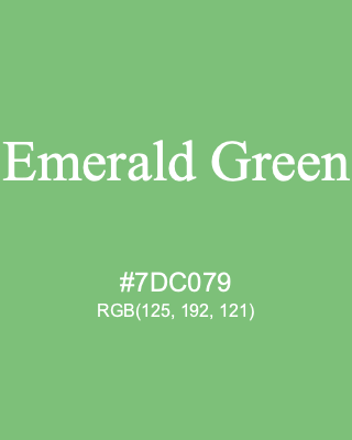Emerald Green, hex code is #7DC079, and value of RGB is (125, 192, 121). 358 Copic colors. Download palettes, patterns and gradients colors of Emerald Green.