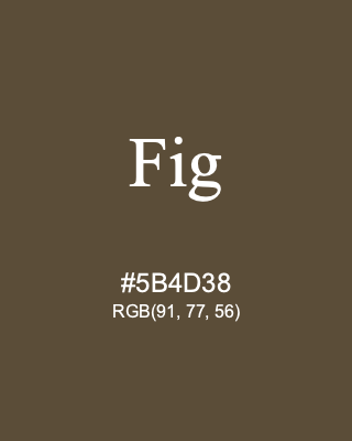 Fig, hex code is #5B4D38, and value of RGB is (91, 77, 56). 358 Copic colors. Download palettes, patterns and gradients colors of Fig.