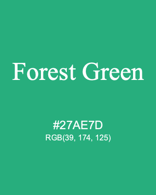 Forest Green, hex code is #27AE7D, and value of RGB is (39, 174, 125). 358 Copic colors. Download palettes, patterns and gradients colors of Forest Green.