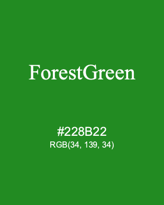 ForestGreen, hex code is #228B22, and value of RGB is (34, 139, 34). HTML Color Names. Download palettes, patterns and gradients colors of ForestGreen.