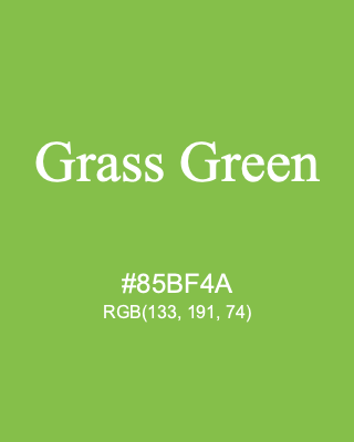 Grass Green, hex code is #85BF4A, and value of RGB is (133, 191, 74). 358 Copic colors. Download palettes, patterns and gradients colors of Grass Green.