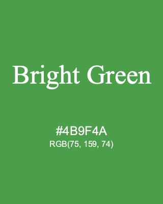 Bright Green, hex code is #4B9F4A, and value of RGB is (75, 159, 74). Lego colors. Download palettes, patterns and gradients colors of Bright Green.