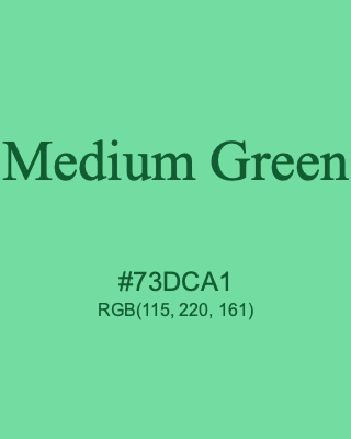 Medium Green, hex code is #73DCA1, and value of RGB is (115, 220, 161). Lego colors. Download palettes, patterns and gradients colors of Medium Green.