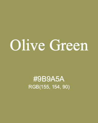 Olive Green, hex code is #9B9A5A, and value of RGB is (155, 154, 90). Lego colors. Download palettes, patterns and gradients colors of Olive Green.