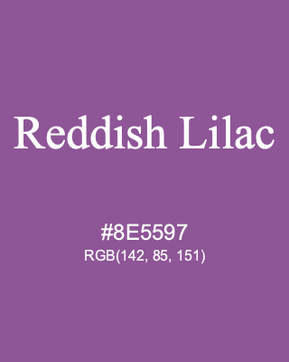 Reddish Lilac, hex code is #8E5597, and value of RGB is (142, 85, 151). Lego colors. Download palettes, patterns and gradients colors of Reddish Lilac.
