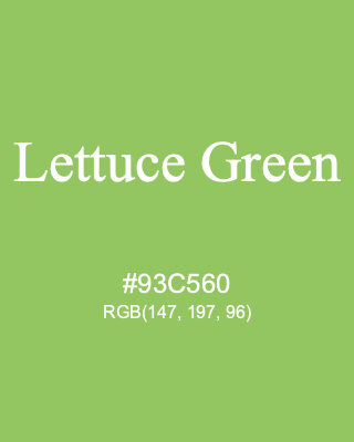 Lettuce Green, hex code is #93C560, and value of RGB is (147, 197, 96). 358 Copic colors. Download palettes, patterns and gradients colors of Lettuce Green.