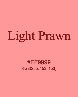 Light Prawn, hex code is #FF9999, and value of RGB is (255, 153, 153). 358 Copic colors. Download palettes, patterns and gradients colors of Light Prawn.