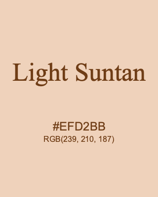 Light Suntan, hex code is #EFD2BB, and value of RGB is (239, 210, 187). 358 Copic colors. Download palettes, patterns and gradients colors of Light Suntan.