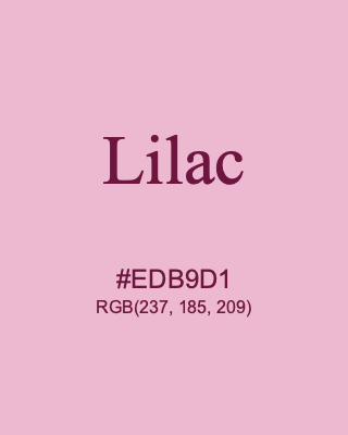 Lilac, hex code is #EDB9D1, and value of RGB is (237, 185, 209). 358 Copic colors. Download palettes, patterns and gradients colors of Lilac.