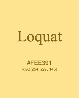 Loquat, hex code is #FEE391, and value of RGB is (254, 227, 145). 358 Copic colors. Download palettes, patterns and gradients colors of Loquat.