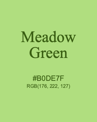 Meadow Green, hex code is #B0DE7F, and value of RGB is (176, 222, 127). 358 Copic colors. Download palettes, patterns and gradients colors of Meadow Green.