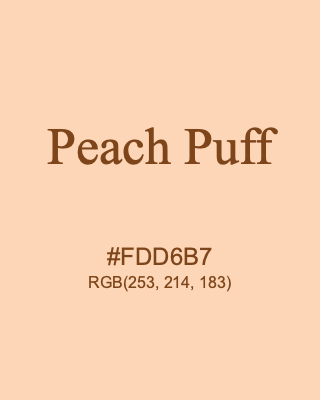 Peach Puff, hex code is #FDD6B7, and value of RGB is (253, 214, 183). 358 Copic colors. Download palettes, patterns and gradients colors of Peach Puff.