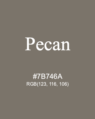 Pecan, hex code is #7B746A, and value of RGB is (123, 116, 106). 358 Copic colors. Download palettes, patterns and gradients colors of Pecan.