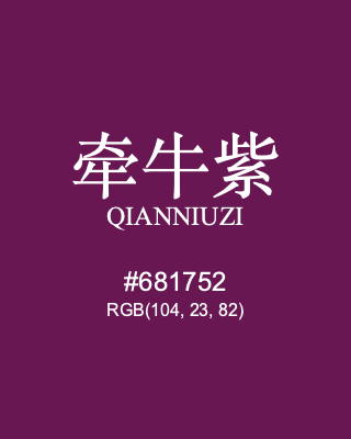 牵牛紫 qianniuzi, hex code is #681752, and value of RGB is (104, 23, 82). Traditional colors of China. Download palettes, patterns and gradients colors of qianniuzi.
