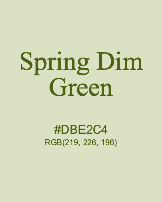 Spring Dim Green, hex code is #DBE2C4, and value of RGB is (219, 226, 196). 358 Copic colors. Download palettes, patterns and gradients colors of Spring Dim Green.