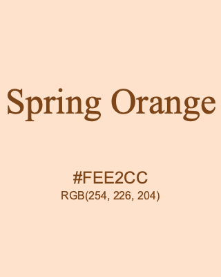 Spring Orange, hex code is #FEE2CC, and value of RGB is (254, 226, 204). 358 Copic colors. Download palettes, patterns and gradients colors of Spring Orange.