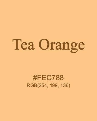 Tea Orange, hex code is #FEC788, and value of RGB is (254, 199, 136). 358 Copic colors. Download palettes, patterns and gradients colors of Tea Orange.