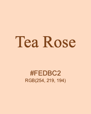 Tea Rose, hex code is #FEDBC2, and value of RGB is (254, 219, 194). 358 Copic colors. Download palettes, patterns and gradients colors of Tea Rose.