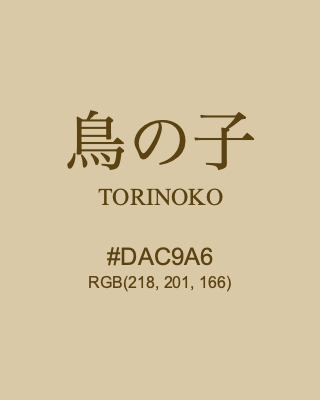 鳥の子 TORINOKO, hex code is #DAC9A6, and value of RGB is (218, 201, 166). Traditional colors of Japan. Download palettes, patterns and gradients colors of TORINOKO.