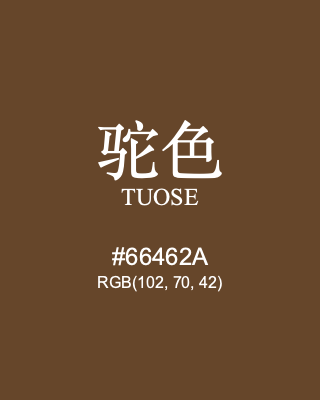 驼色 tuose, hex code is #66462a, and value of RGB is (102, 70, 42). Traditional colors of China. Download palettes, patterns and gradients colors of tuose.