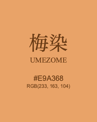 梅染 UMEZOME, hex code is #E9A368, and value of RGB is (233, 163, 104). Traditional colors of Japan. Download palettes, patterns and gradients colors of UMEZOME.