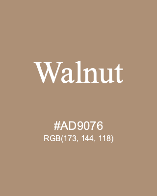 Walnut, hex code is #AD9076, and value of RGB is (173, 144, 118). 358 Copic colors. Download palettes, patterns and gradients colors of Walnut.