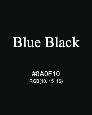 Blue Black, hex code is #0A0F10, and value of RGB is (10, 15, 16). Winsor & Newton Artists Oil Colour. Download palettes, patterns and gradients colors of Blue Black.