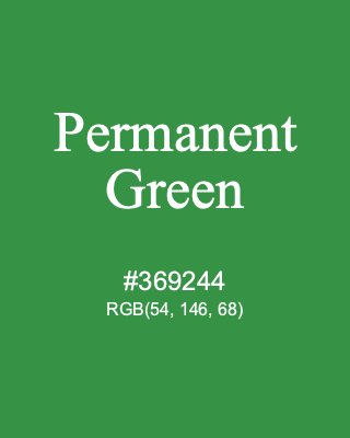 Permanent Green, hex code is #369244, and value of RGB is (54, 146, 68). Winsor & Newton Artists Oil Colour. Download palettes, patterns and gradients colors of Permanent Green.