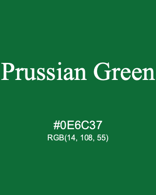 Prussian Green, hex code is #0E6C37, and value of RGB is (14, 108, 55). Winsor & Newton Artists Oil Colour. Download palettes, patterns and gradients colors of Prussian Green.