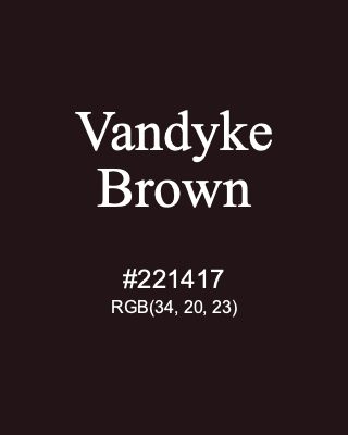 Vandyke Brown, hex code is #221417, and value of RGB is (34, 20, 23). Winsor & Newton Artists Oil Colour. Download palettes, patterns and gradients colors of Vandyke Brown.