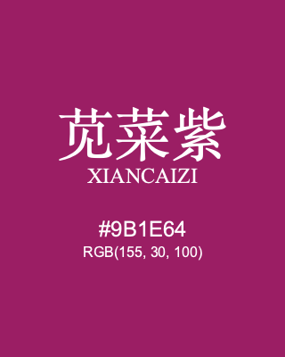 苋菜紫 xiancaizi, hex code is #9b1e64, and value of RGB is (155, 30, 100). Traditional colors of China. Download palettes, patterns and gradients colors of xiancaizi.