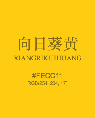 向日葵黄 xiangrikuihuang, hex code is #fecc11, and value of RGB is (254, 204, 17). Traditional colors of China. Download palettes, patterns and gradients colors of xiangrikuihuang.