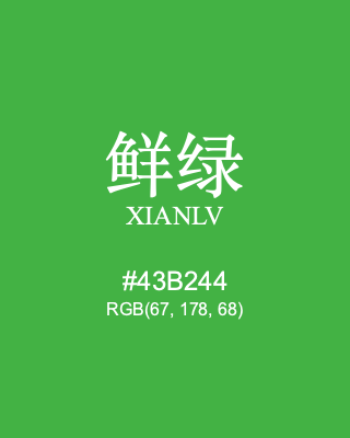 鲜绿 xianlv, hex code is #43b244, and value of RGB is (67, 178, 68). Traditional colors of China. Download palettes, patterns and gradients colors of xianlv.