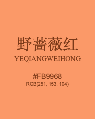 野蔷薇红 yeqiangweihong, hex code is #fb9968, and value of RGB is (251, 153, 104). Traditional colors of China. Download palettes, patterns and gradients colors of yeqiangweihong.