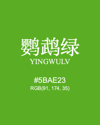 鹦鹉绿 yingwulv, hex code is #5bae23, and value of RGB is (91, 174, 35). Traditional colors of China. Download palettes, patterns and gradients colors of yingwulv.