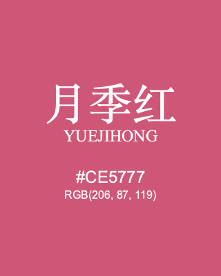 月季红 yuejihong, hex code is #ce5777, and value of RGB is (206, 87, 119). Traditional colors of China. Download palettes, patterns and gradients colors of yuejihong.
