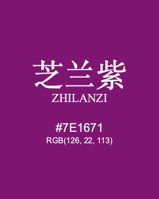 芝兰紫 zhilanzi, hex code is #7e1671, and value of RGB is (126, 22, 113). Traditional colors of China. Download palettes, patterns and gradients colors of zhilanzi.